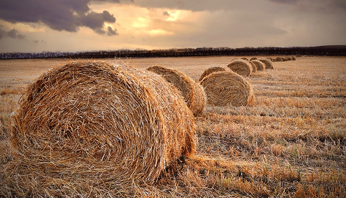 Le bailleur rural ne peut échapper aux dettes dues au fait des travaux d'amélioration