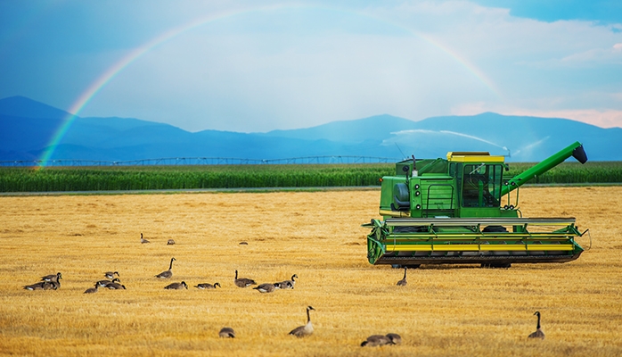 Fermage impayé, bail rural résilié ?